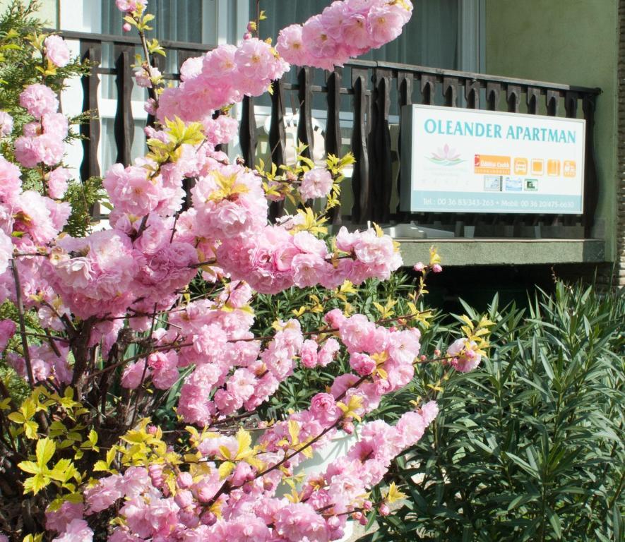 Oleander Apartman Héviz Zewnętrze zdjęcie