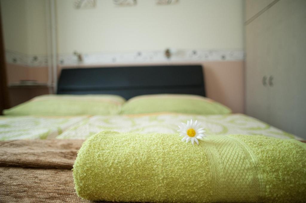 Oleander Apartman Héviz Zewnętrze zdjęcie
